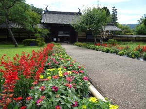 DSC08098