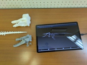 02_展示タブレットと3Dモデル