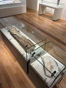 石灰華した樹木