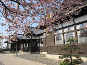 八重桜と旧松本区裁判所庁舎