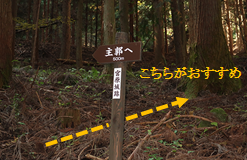 大山神社脇の道標　地図２