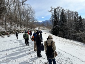 観察会の様子