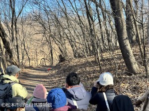 シロハラを観察