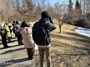 トラツグミを観察